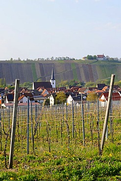 Nordheim with Vogelsburg Monastery, Volkach, Main River loop, Lower Franconia, Bavaria, Germany, Europe