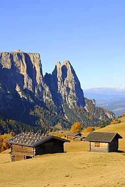 Seiser Alm mountain pasture with Mt. Schlern, Dolomites, South Tyrol, Italy, Europe