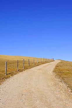 Footpath on the Seiser Alm mountain pasture, Dolomites, South Tyrol, Italy, Europe