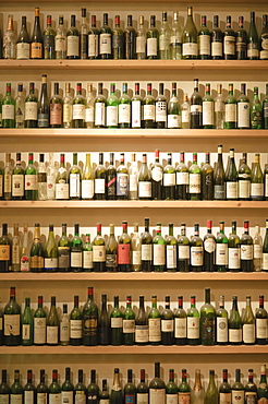 Many empty wine bottles on the shelves in the window of a wine restaurant, Vienna, Austria, Europe