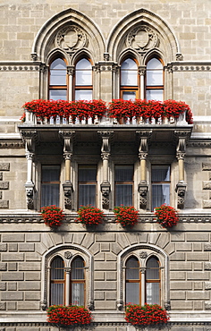 Flower boxes with red geraniums on the facade of City Hall, Vienna, Austria, Europe