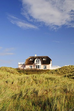 Classic, thatched house at Vejer beach, Jutland, Denmark, Europe