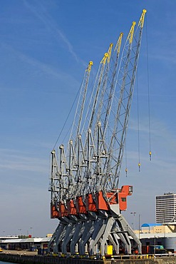 Port cranes at the port of Rotterdam, South Holland, Holland, Netherlands, Europe