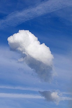 Steeply rising cumulus cloud in a cloudy sky