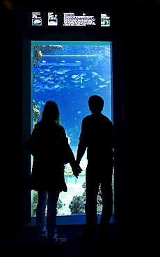 Visitors, large display aquarium, Sydney Aquarium, Sydney, New South Wales, Australia