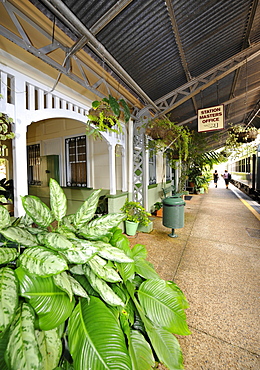 Historic Kuranda Village Station, Kuranda Scenic Railway, rainforest, Atherton Tablelands, Queensland, Australia