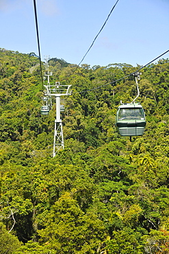 Skyrail Rainforest Cableway, the longest cable car of the world, Kuranda Village, rainforest, Atherton Tablelands, Queensland, Australia