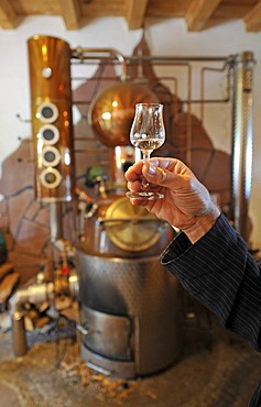 Hand holding jigger in front of a distillery, house distillery, Berg-Gasthof Kernhof mountain inn, Seebach, Black Forest, Baden-Wuerttemberg, Germany, Europe