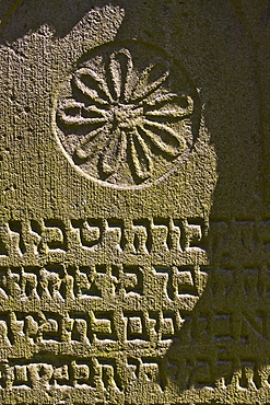 Rosette on a gravestone in the Jewish cemetery in Bonn Schwarz-Rheindorf, North Rhine-Westphalia, Germany, Europe