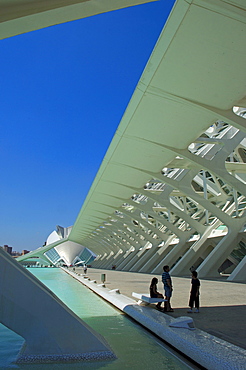 Principe Felipe Science Museum, City of Arts and Sciences by Santiago Calatrava, Comunidad Valenciana, Valencia, Spain, Europe