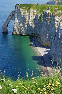 Falaise d'aval, sea cliff, etretat, Cote d'Albatre, Haute-Normandie, Normandy, France, Europe