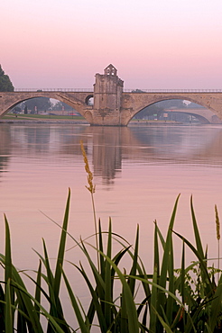 Saint Benezet bridge over Rhone river, Avignon, Vaucluse, Provence-Alpes-Cote d'Azur, Rhone valley, Provence, France, Europe