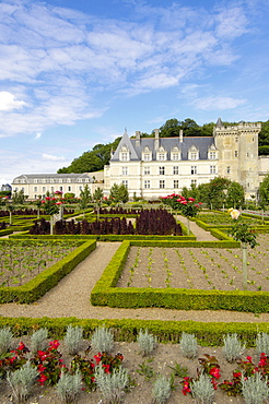 Villandry castle and gardens, Chateau de Villandry, Indre-et-Loire, Touraine, Loire Valley, France, Europe