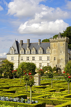 Villandry castle and gardens, Chateau de Villandry, Indre-et-Loire, Touraine, Loire Valley, France, Europe