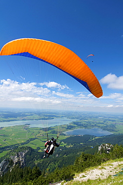 Paraglider on Tegelberg mountain with a view over Forggensee Lake, Fuessen, Allgaeu, Bavaria, Germany, Europe