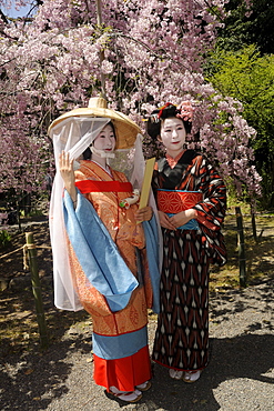 Japanese women in costumes from the Heian period, procession participants, Hirano Shrine, Kyoto, Japan, East Asia, Asia