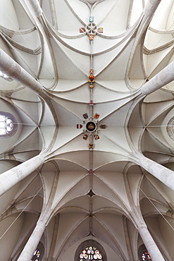 Vaulted ceiling with coat of arms, St. George's Cathedral in the Castle, Wiener Neustadt, Lower Austria, Austria, Europe