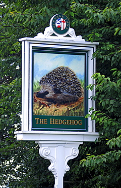 Inn sign, The Hedgehog, Stafford Road, Lichfield, Staffordshire, England, United Kingdom, Europe