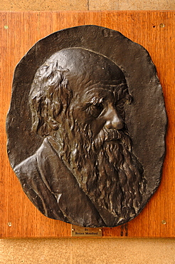 Relief Portrait of Charles Darwin by Horace Montford in Christ's College, St. Andrews Street, Cambridge, Cambridgeshire, England, United Kingdom, Europe