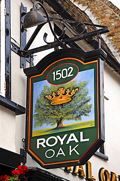 Pub sign, Royal Oak, Crown Street, St. Ives, Cambridgeshire, England, United Kingdom, Europe