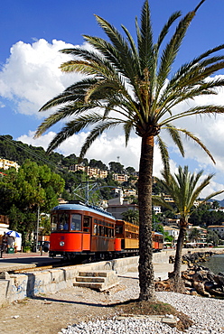 Bay with beach and palm trees, tram in Puerto Soller, Port de Soller, tranvia nach Soller, Mallorca, Majorca, Balearic Islands, Spain, Europe