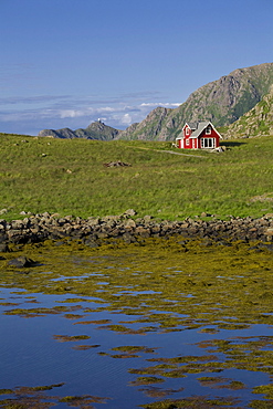 Norwegian house near Nyksund, Langoeya Island, Vesteralen, Norway, Scandinavia, Europe