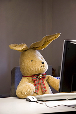 Felix, a toy rabbit, seated at a desk