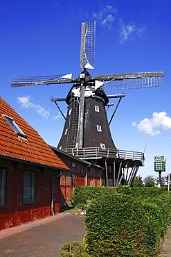 Old windmill, Muehlenmuseum mill museum in Lemkenhafen, Fehmarn island, Ostholstein district, Schleswig-Holstein, Germany