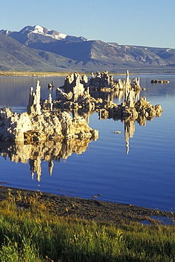 Tuff at Mono Lake, bizarre, California, America, United States