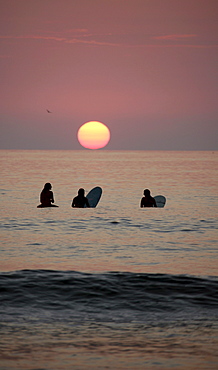 Evening mood, surfers in front of sunset, La Jolla Shores Beach, California, USA, North America