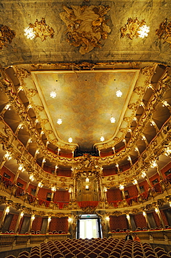 Illuminated auditorium, Cuvillies Theater, Munich, Upper Bavaria, Bavaria, Germany, Europe