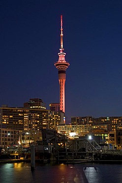 Auckland Skytower at night seen from Viaduct Harbor, New Zealand