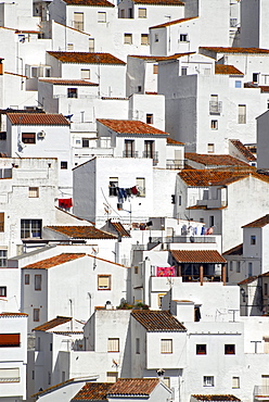 The white houses of Casares, one of the "Pueblos Blancos" in the province of Malaga, Andalusia, Spain, Europe