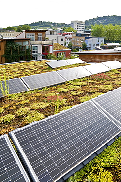 Planted roof and solar system, Vauban, Freiburg, Baden-Wuerttemberg, Germany, Europe