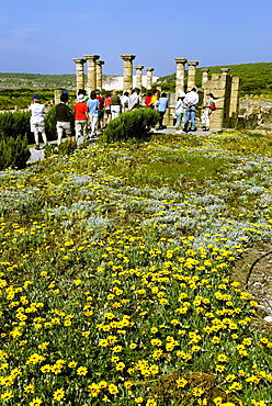 Forum, archeologic park Baelo Claudia near Tarifa, Andalusia, Spain, Europe