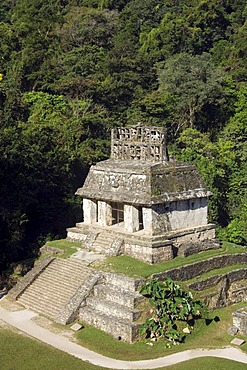 Palenque, UNESCO World Heritage Site, Templo del Conde, Temple of the Count, Yucatan, Mexico