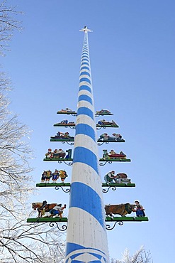 Maypole in winter, Holzhausen at Lake Starnberg, Upper Bavaria, Bavaria, Germany