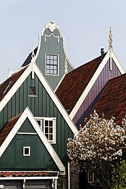 Typical wooden houses from the 17th century, roofs, historic city De Rijp near Alkmaar, Province of North Holland, Netherlands, Europe