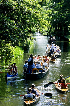 Lots of boats on a stream near Luebbenau, canoes, tourists on boats, Spreewald, Brandenburg, Germany, Europe