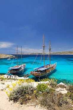 Excursion boats in the Blue Lagoon of Comino, Malta, Europe