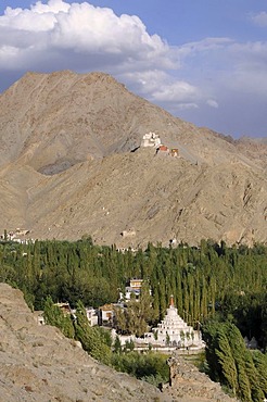 Leh oasis with Gonkhang monastery and castle ruins on the mountain, Ladakh, India, Himalayas, Asia