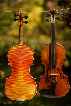 Violins