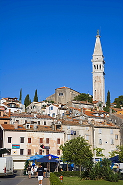 Rovinj old town with Saint Euphemia's basilica, seen from Valdibora, Rovinj, Istria, Croatia, Europe