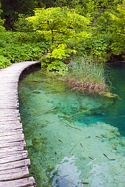 Path at Plitvicka Jezera, Plitvice Lakes National Park, Lika-Senj, Croatia, Europe