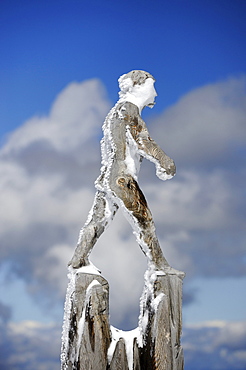 Wooden sculpture by the artist Mario Gasser on the Austrian part of Zugspitze Mountain, district of Reutte, Tyrol, Austria, Europe