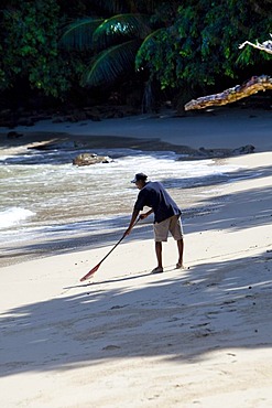 Creole cleaning the beach, Mahe Island, Seychelles, Indian Ocean, Africa