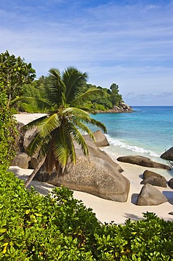 Beach near Vista do Mar with the typical granite rocks of the Seychelles, Glacis, Mahe Island, Seychelles, Indian Ocean, Africa