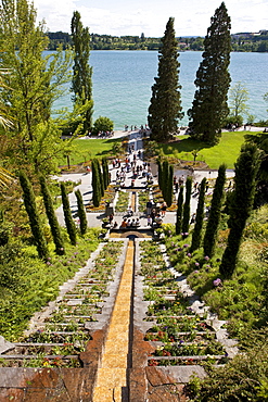 Water staircase with cypresses, Mainau Island, Lake Constance, County Konstanz, Baden-Wuerttemberg, Germany, Europe