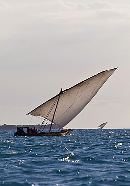 Arabian Dhow, Zanzibar, Tanzania, Africa