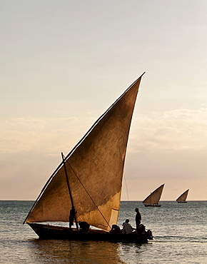 Arab dhows, near coast off Stonetown, Zanzibar, Tanzania, Africa